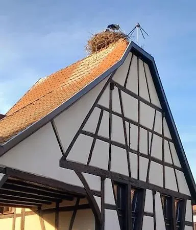 Διαμέρισμα Alsace Et Wifi
