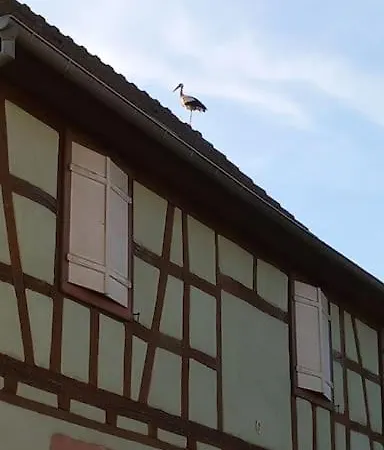 Alsace Et Wifi