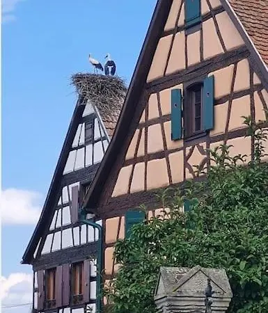 Alsace Et Wifi Διαμέρισμα